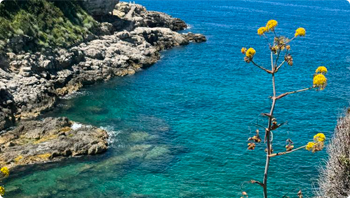 sorrento-experience